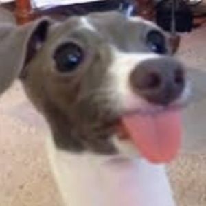 Meet your Posher, Braden